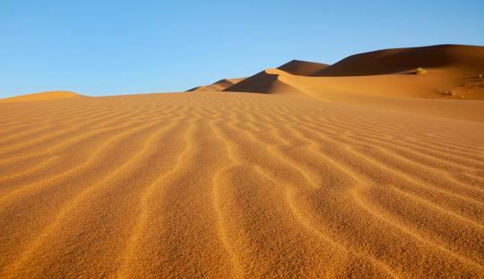 A vast desert with golden sands