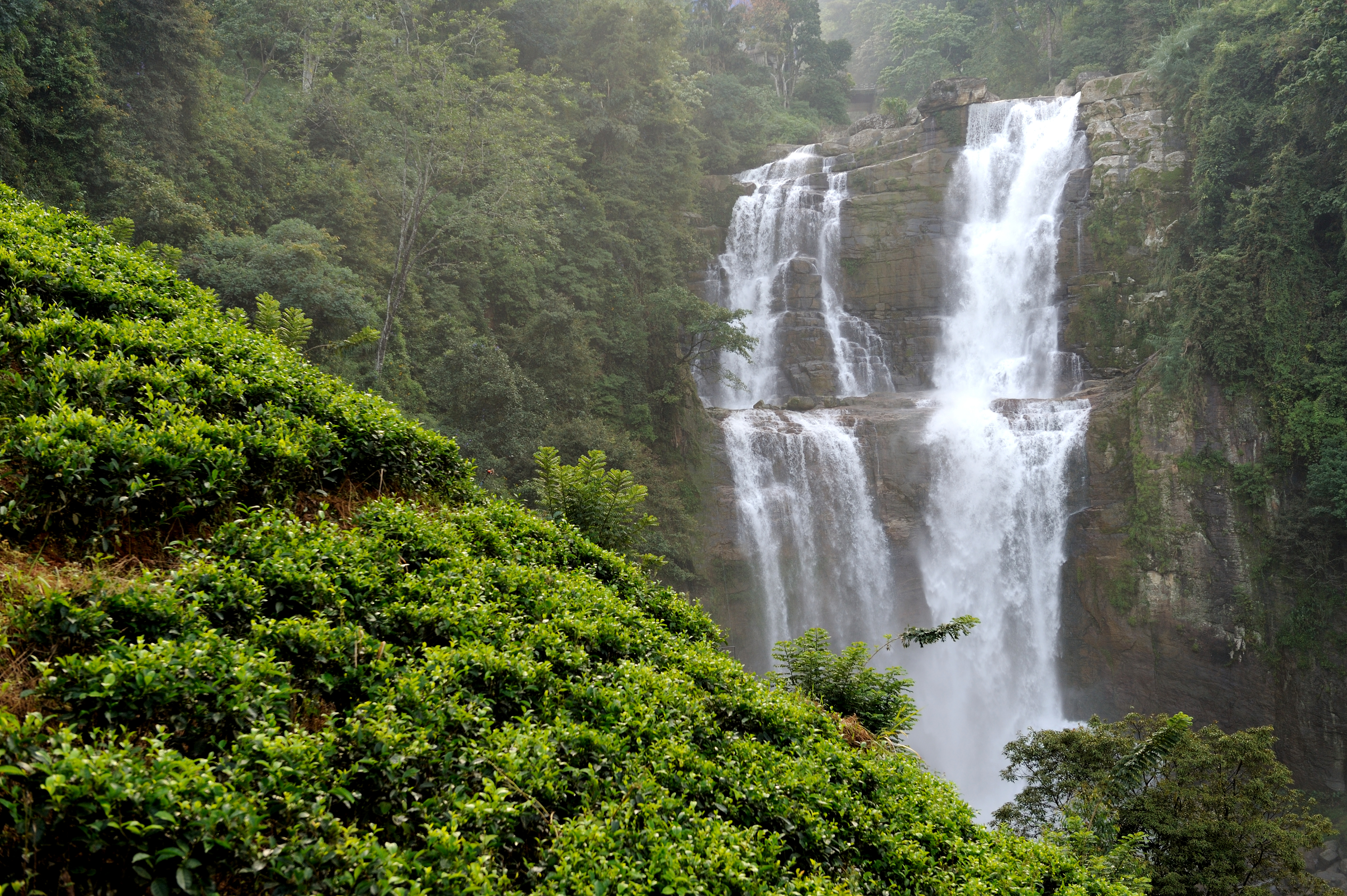 A stunning waterfall in a jungle